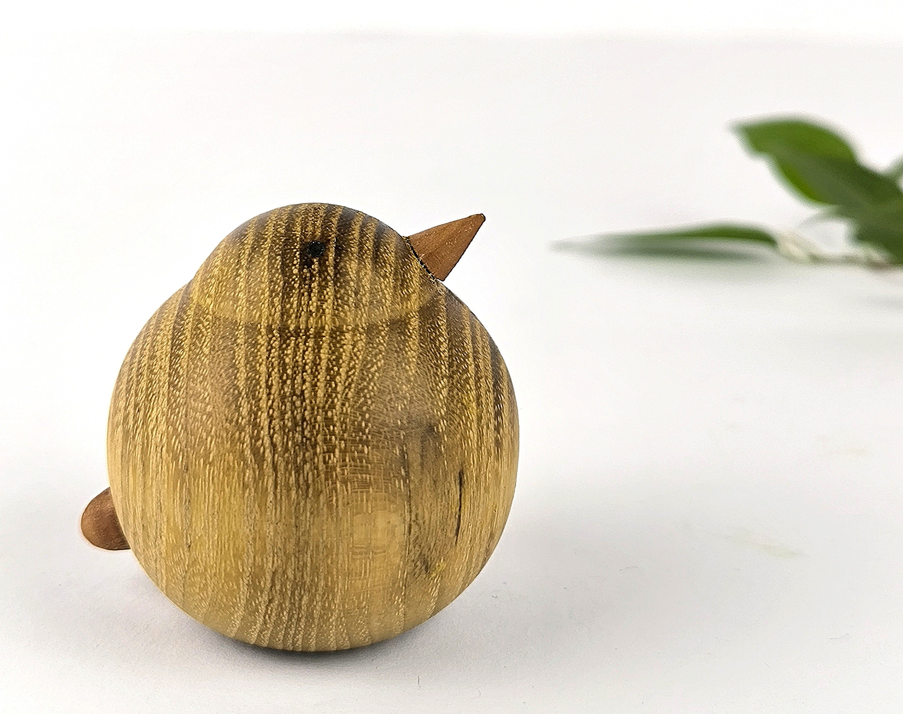 IMG_20250822_110821 (1)_1